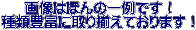 画像はほんの一例です！ 種類豊富に取り揃えております！